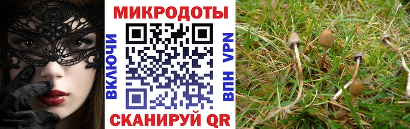 Галлюциногенные грибы ЛСД Узловая